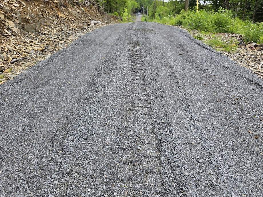 New gravel lane through a wooded area