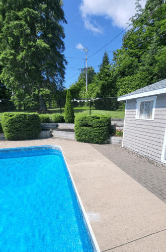 Untitled (330 x 800 px) (500 x 800 px)